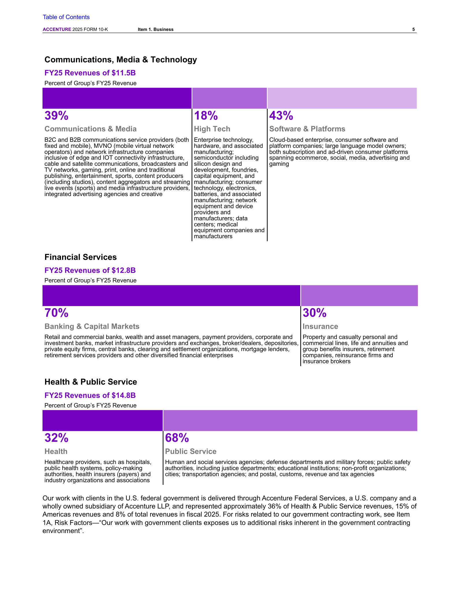 Fiscal 2025 revenue and sub-industry splits for Communications, Media & Technology, Financial Services and Health & Public Service.